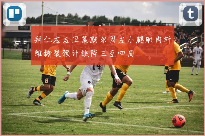 拜仁右后卫莱默尔因左小腿肌肉纤维撕裂预计缺阵三至四周